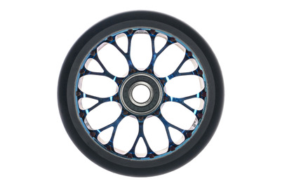 Roue Black Pearl Venom V2 115 12 STD Double Bleu Chrome