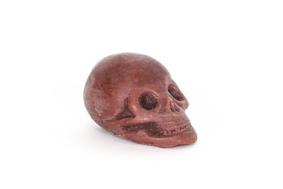 Wax Phose Skull V2 Chocolat